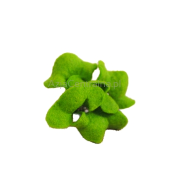 Damska broszka filcowa kwiat Zielony