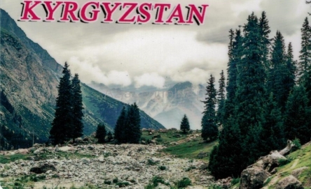Magnes Przyroda Kirgistanu