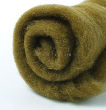 Wełna zgrzebna do filcowania BŁOTNISTY #523